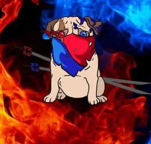 Puggy Riot