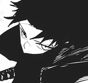 SHISUI14