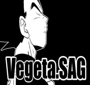 Vegeta.SAG❿
