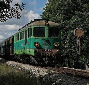 zielony1110wedrowiec