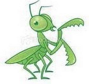 Bug7thst