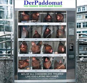 DerPaddomat LP