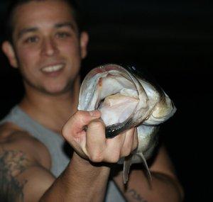 Eddie Bass