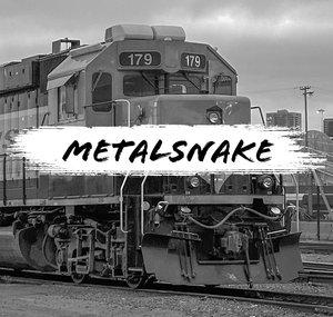 Metal Snake Productions