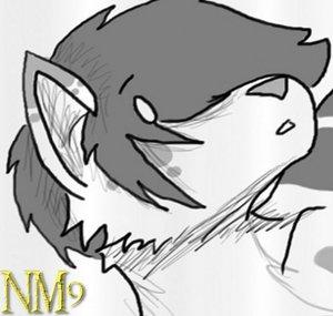 NinjamoonHD