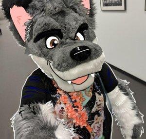 pawsouls