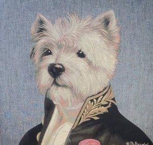 R Dogg Treasure Hunter