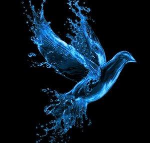 TheWaterbird165