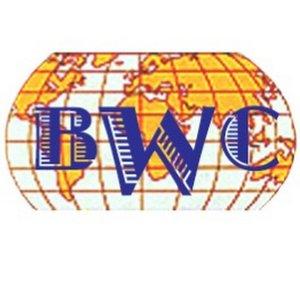 Bigg World Cinema