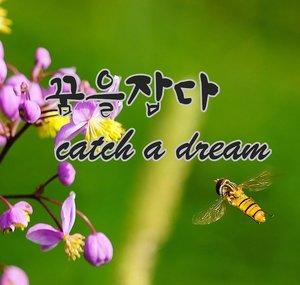 Catch a dream H