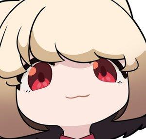 CodeNameFerret