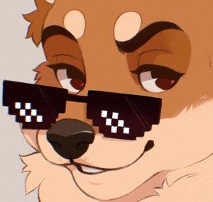 Dogbytes