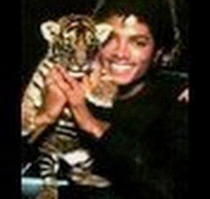 elreymichaeljackson