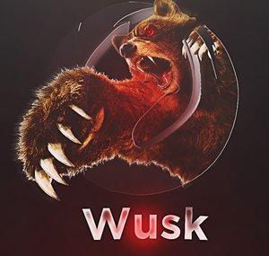 HAWK Wusk