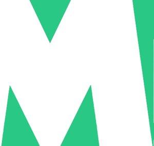 Metro Sport