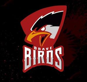 Brave Birds