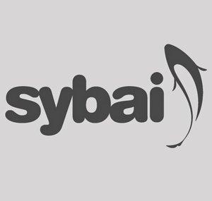 Fly Tying Materials SYBAI