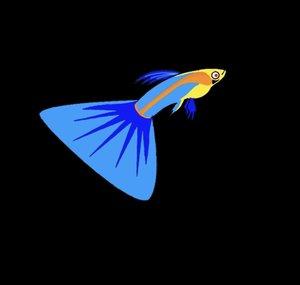 Freshwater Joe