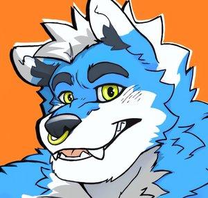 I Am Wolfhug
