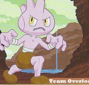 pkmnTeamOverload