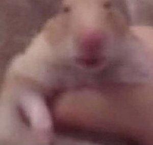 puppo