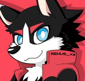 Remus_XIII
