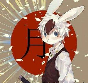 shadow_bunny293