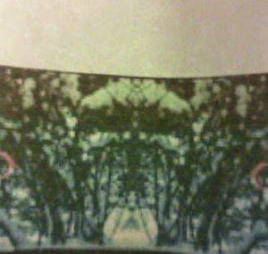 spellbinder00