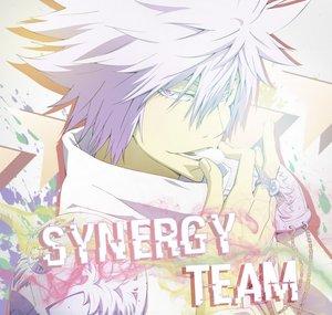 Synergy Team