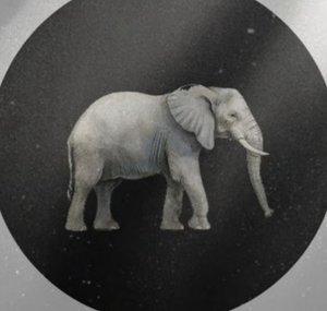 The Elephant