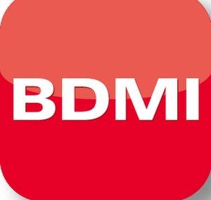 BDMI Bertelsmann