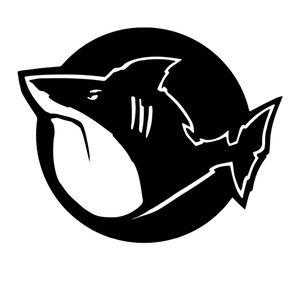 Fatshark
