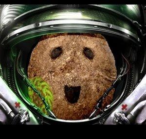 garythecoconut