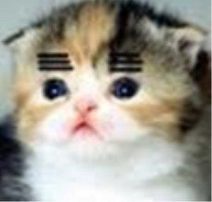 Kyokoon64
