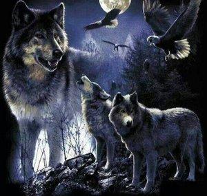 Lesskarr Wolfe
