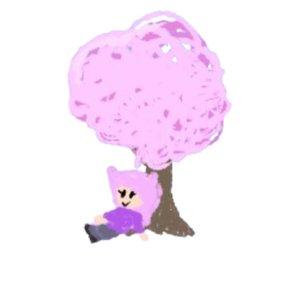 maya blossom tree