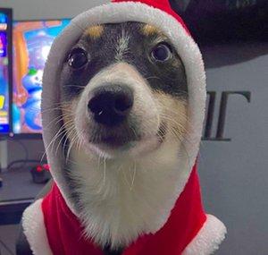 Nasqoo 