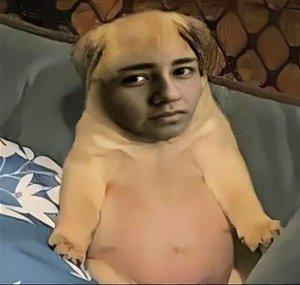 PUVLO