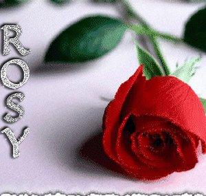 RoSiTa “RoMaNtIcAmIx” RoMaNtIcA