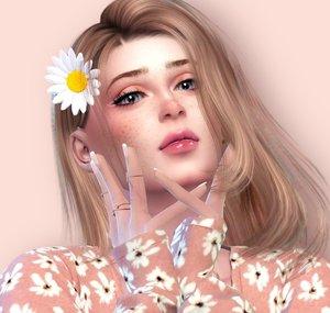 The Daisy Space Sims