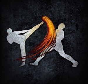 The Modern Martial Artist