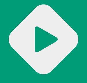 Videograma
