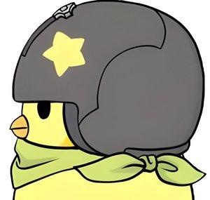 ACF Nugget