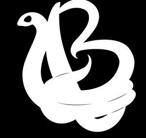 Boomslang Crew