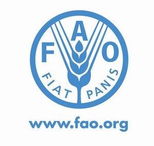 FAO Video