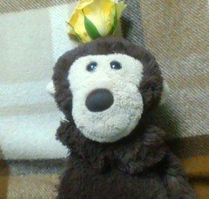 Monkey Mookie