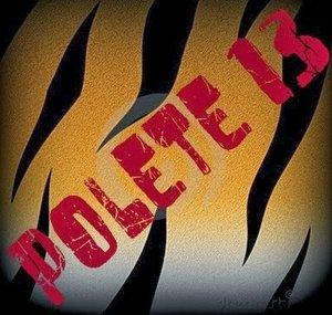 polshinigam13