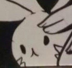 Rockit Rabbit