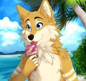 themindofurry