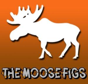 TheMooseFigs